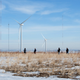 Researchers, trainers and a veterinarian are waiting for the birds (Photo: Dennis Schroeder/National Renewable Energy Lab)